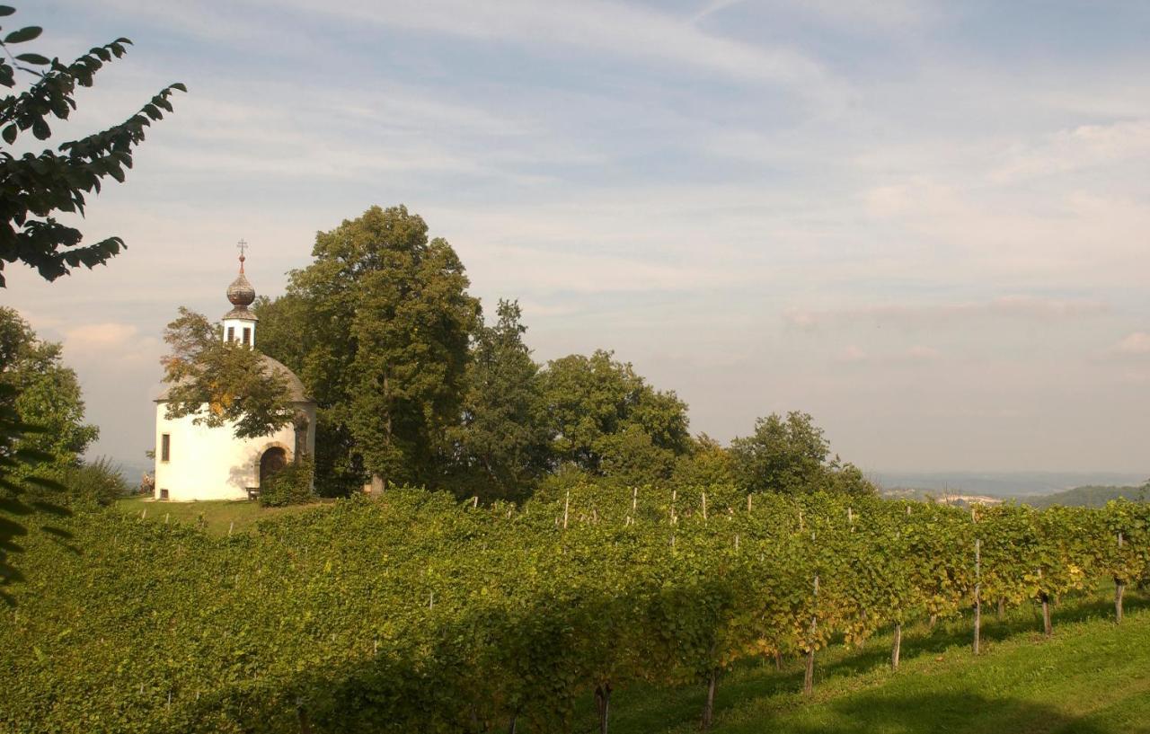 Schloss Kapfenstein Exteriér fotografie