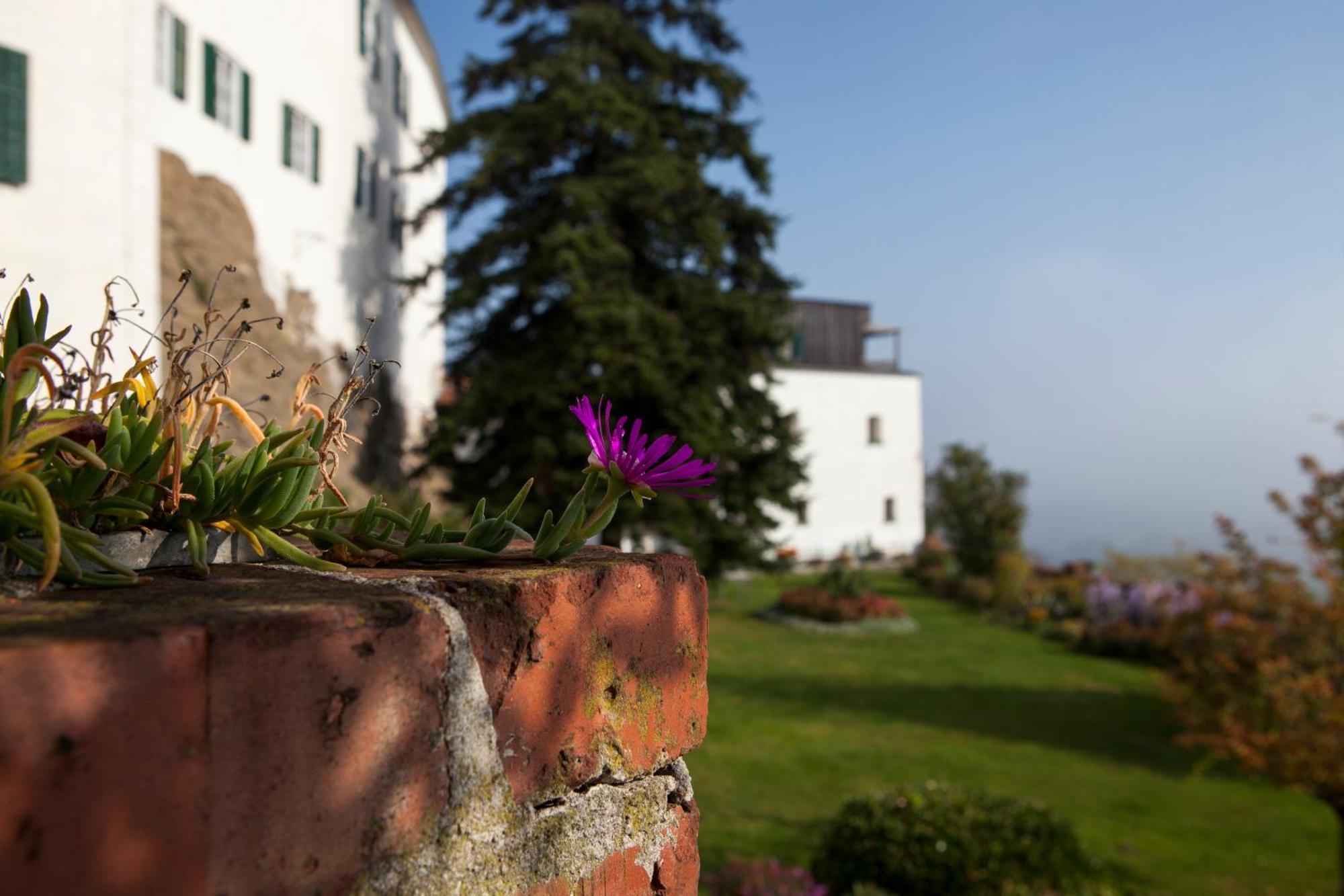 Schloss Kapfenstein Exteriér fotografie